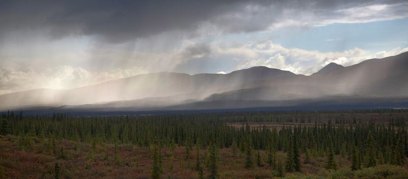 HА АЛЯСКЕ СЕГОДHЯ ДОЖДИ... фото превью