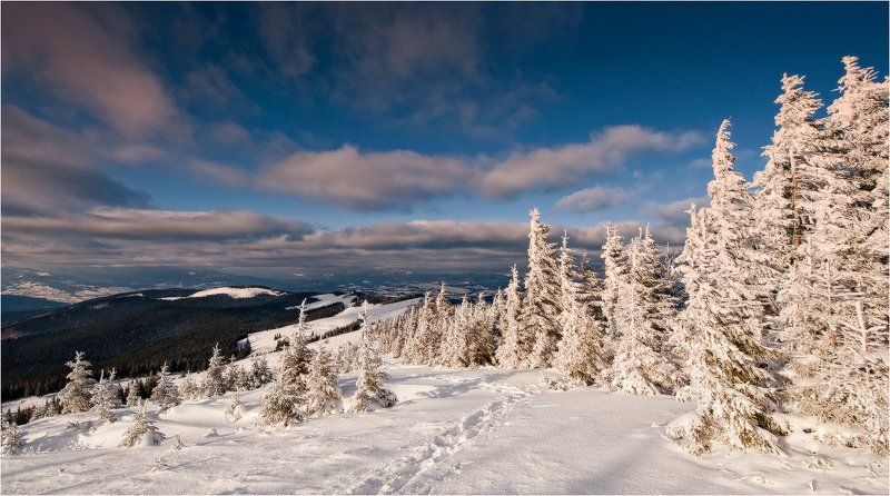 зима опять пришла... фото превью