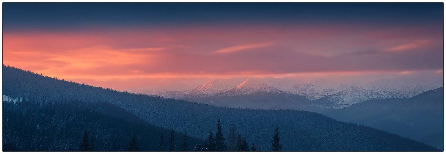 , Денис Кривой