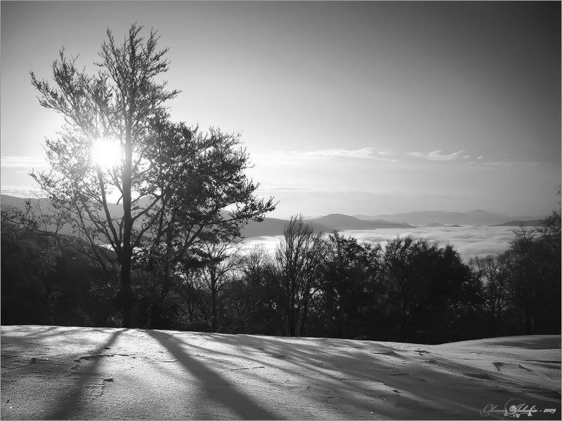 осень, зима, карпаты Кружево фото превью