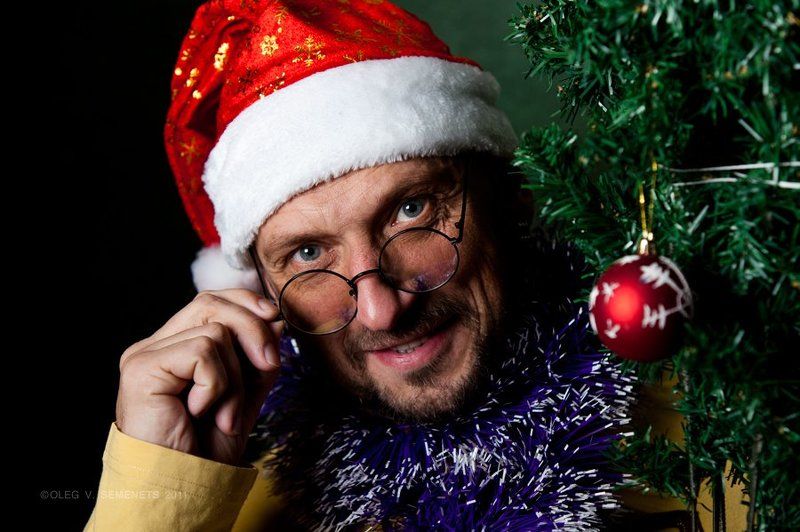 oleg, v., semenets Новогодняя сказка фото превью