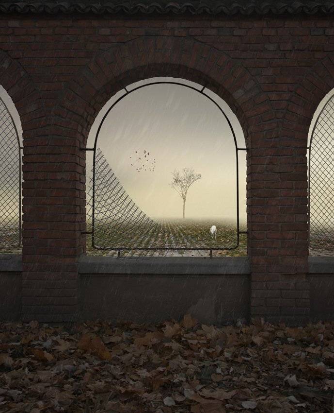 fence, wall, brick, caravan, dog, leaf, tree, morning, rain, Caras Ionut