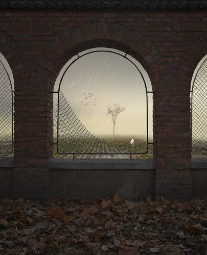 Frame of a cold morning