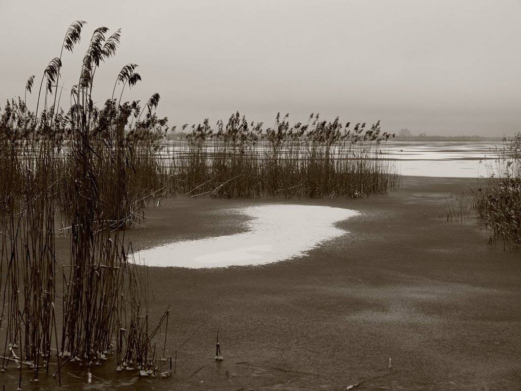 , Штабнов Юрий