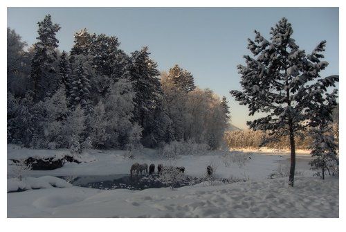 Рождественская сказка
