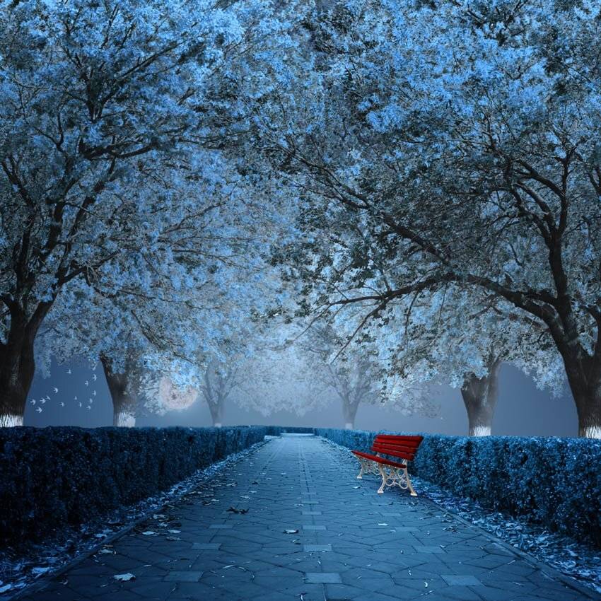 ir, wood, tree, red, ir, blue, bench, park, moon, Caras Ionut