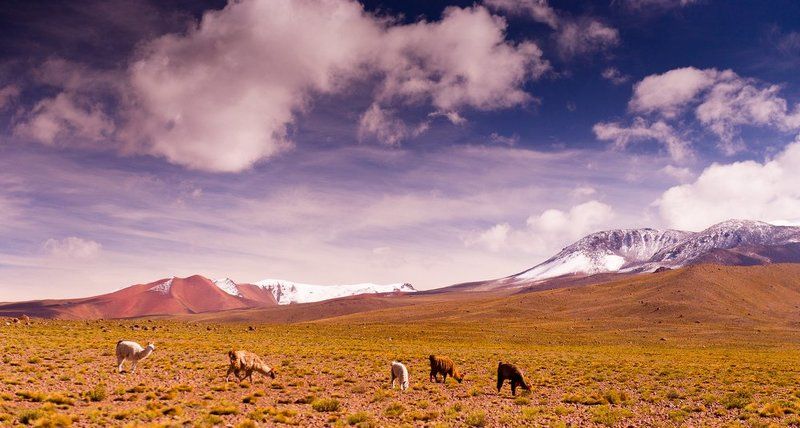 Боливия фото превью