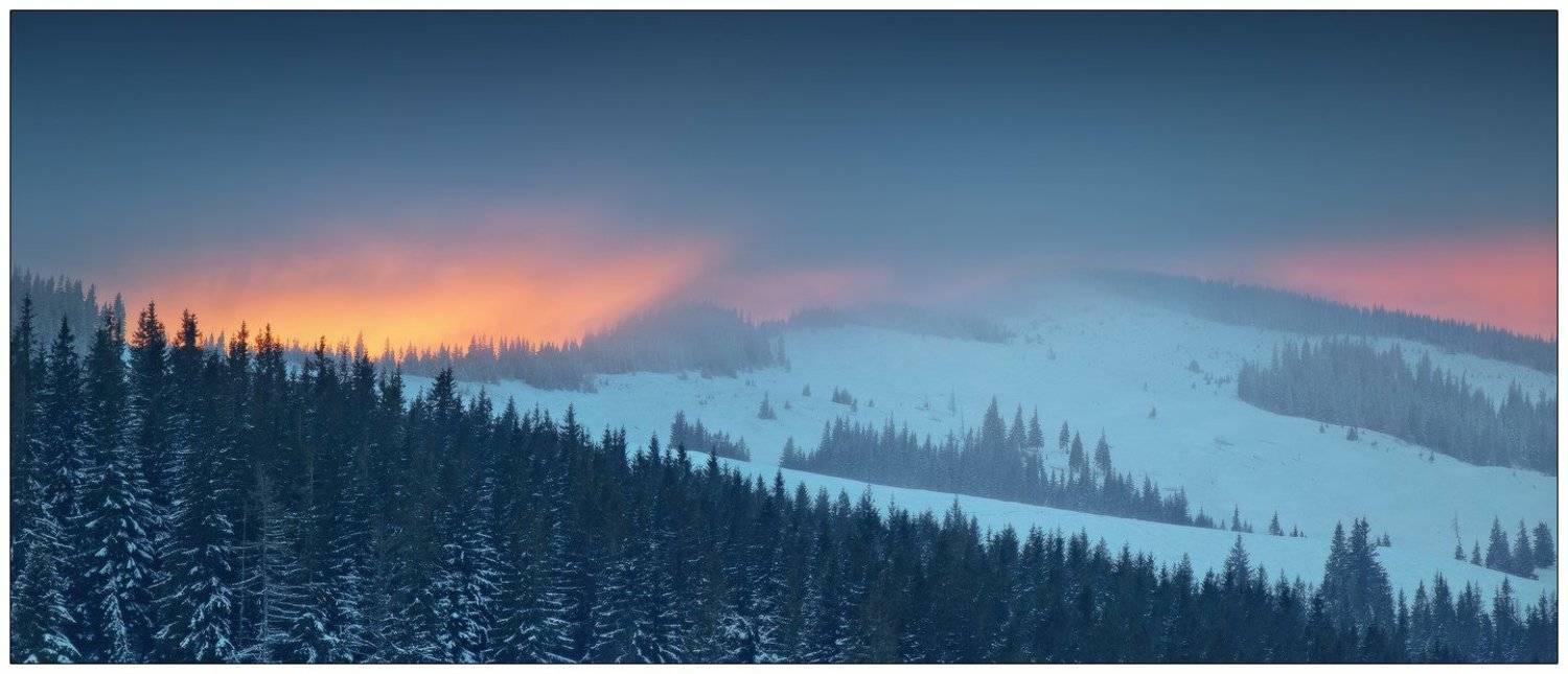 , Денис Кривой