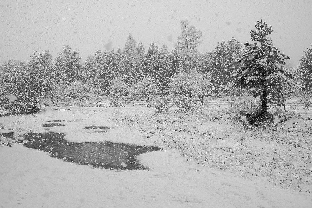 , Николай Морский