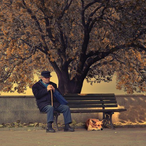 Lost in thoughts II