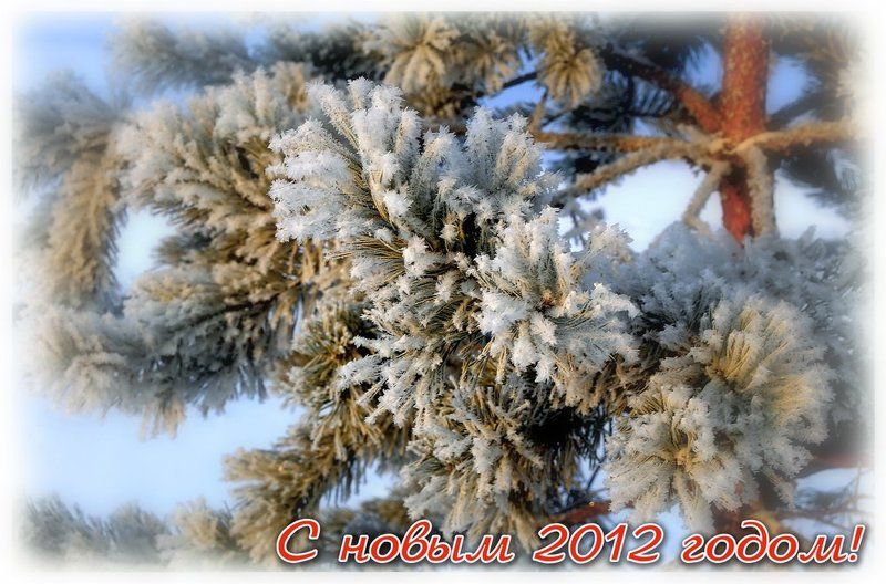С новым годом!!! фото превью