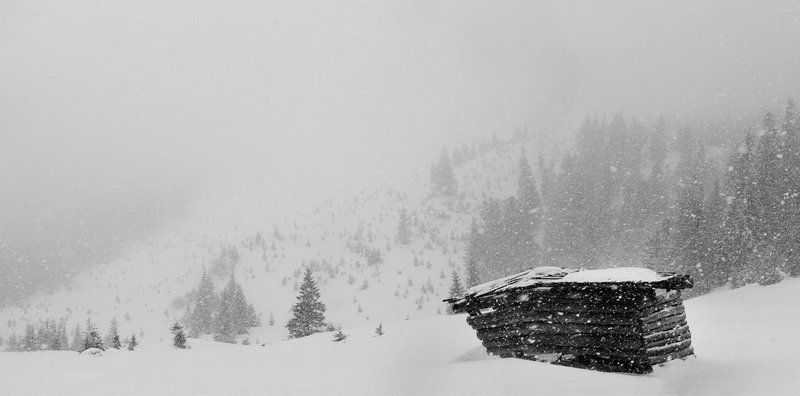 карпаты, природа, пейзаж, снег, туман, панорама С Наступающим Новым Годом! фото превью