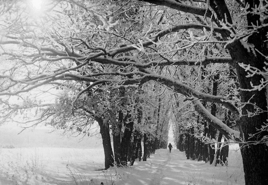 , Цоколаев Игнат