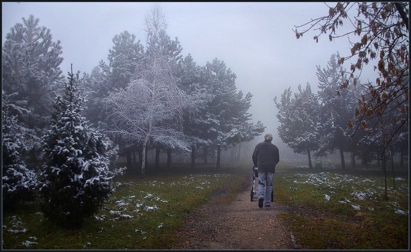 Предновогодняя прогулка ... фото превью