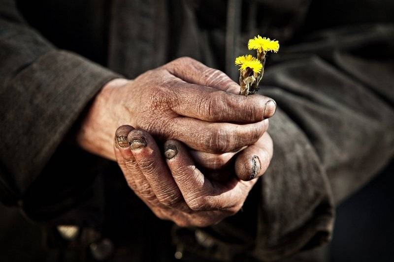 , Шаленкин Роман