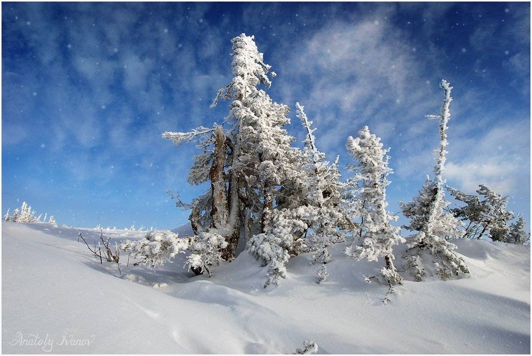 горная шория, шерегеш, лыжный курорт, Анатолий Иванов