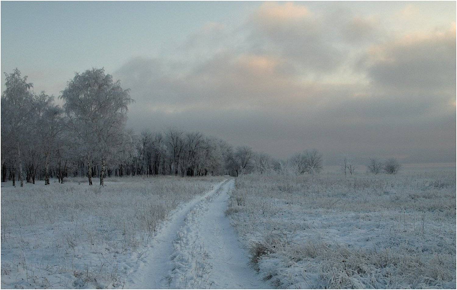 , Алексей Макаров