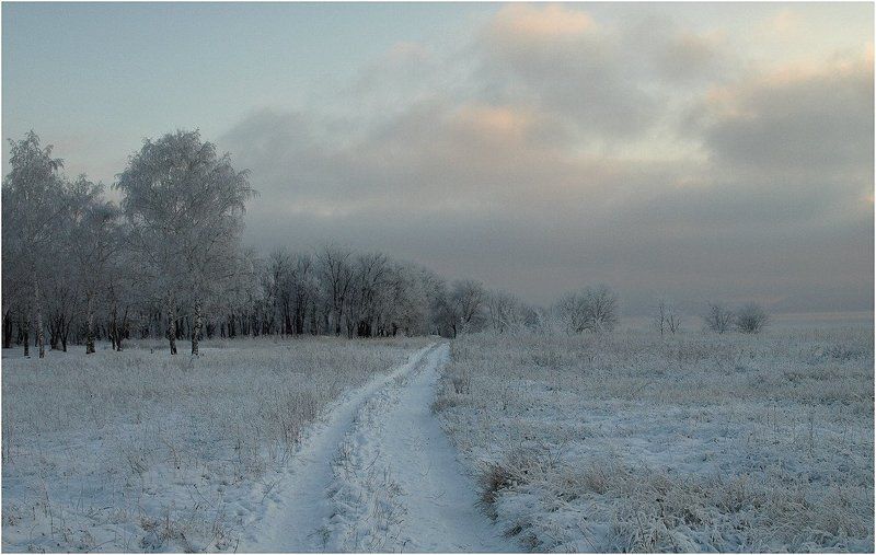 Зимний лес фото превью