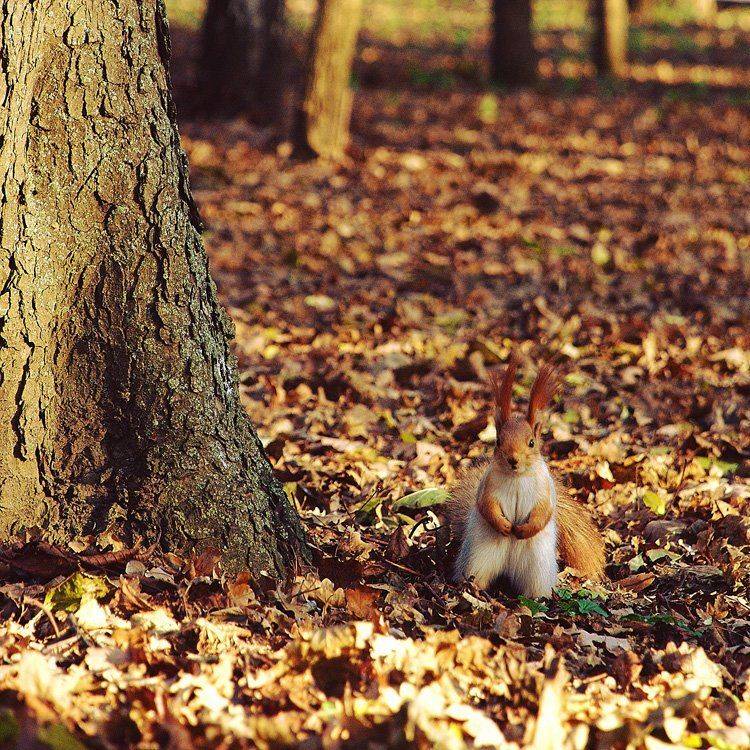, Сергей Кобылько