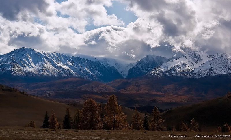 горный алтай, ,алтай,горы, *А  Горы зовут...* фото превью