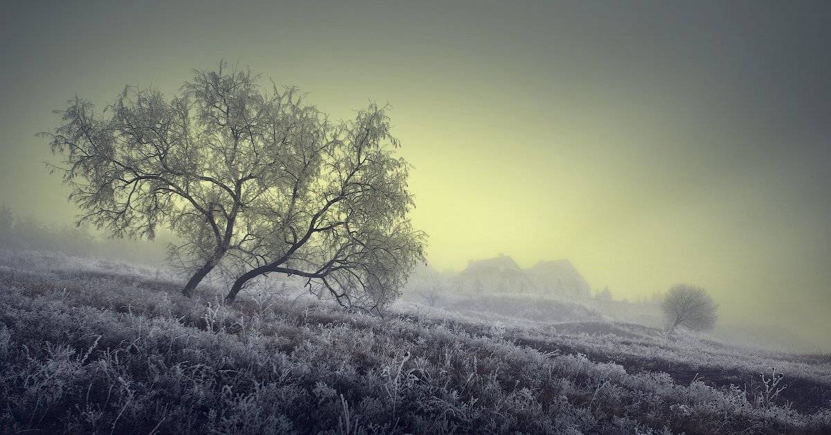 , Виталий Башкатов