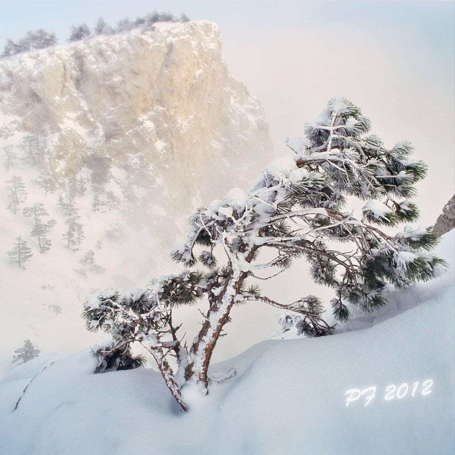 , Алексей Пучков