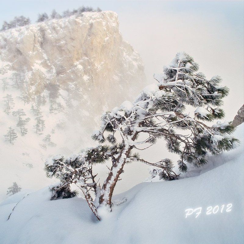 pf 2012 фото превью