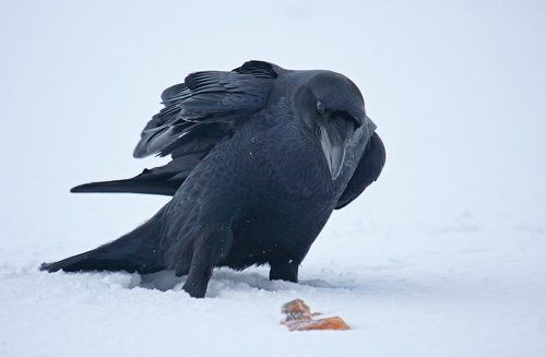 Тут что-то вкусненькое...