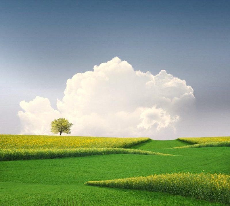 tree, green, yellow, clouds, fantasy The green mile фото превью