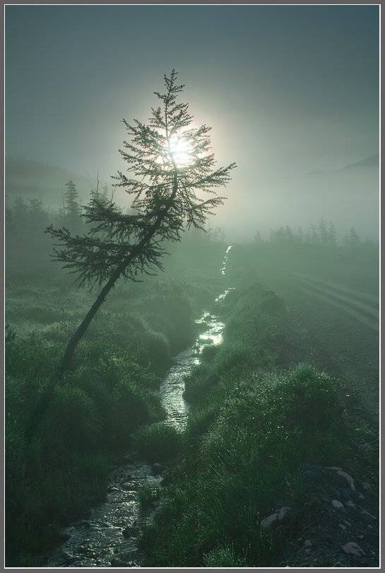 , Сергей Захаров.