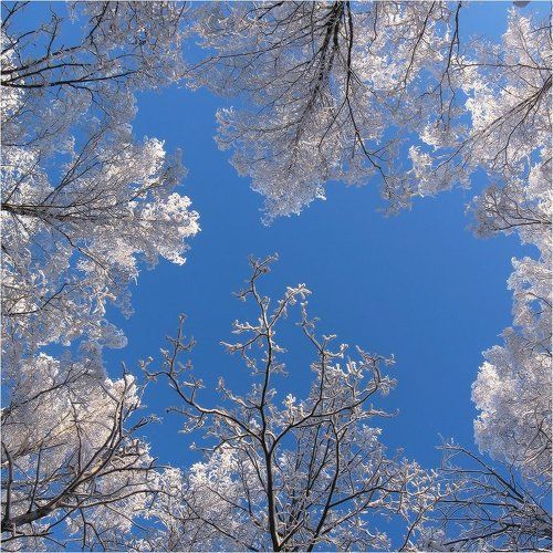 Белые одежды