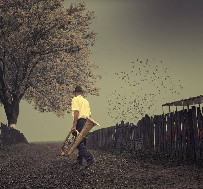 man, birds, tree, trumpet, walk, country, caravan, Caras Ionut