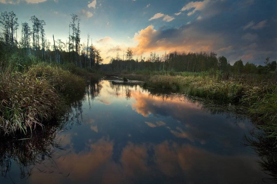 , Rimantas Bikulcius