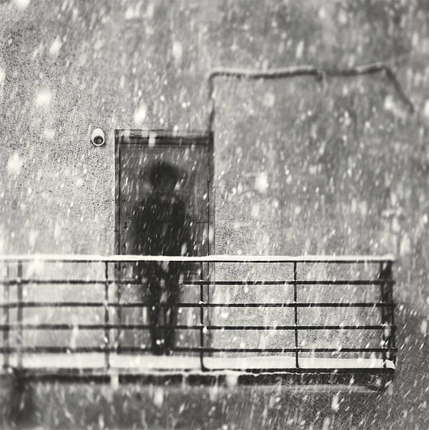 , Тимофеевский Валерий