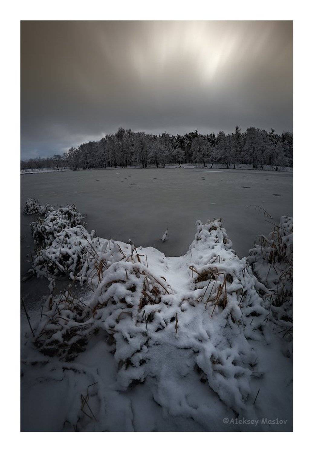 , Алексей Маслов