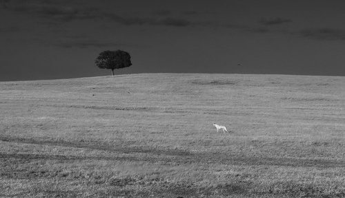 Реальной жизни