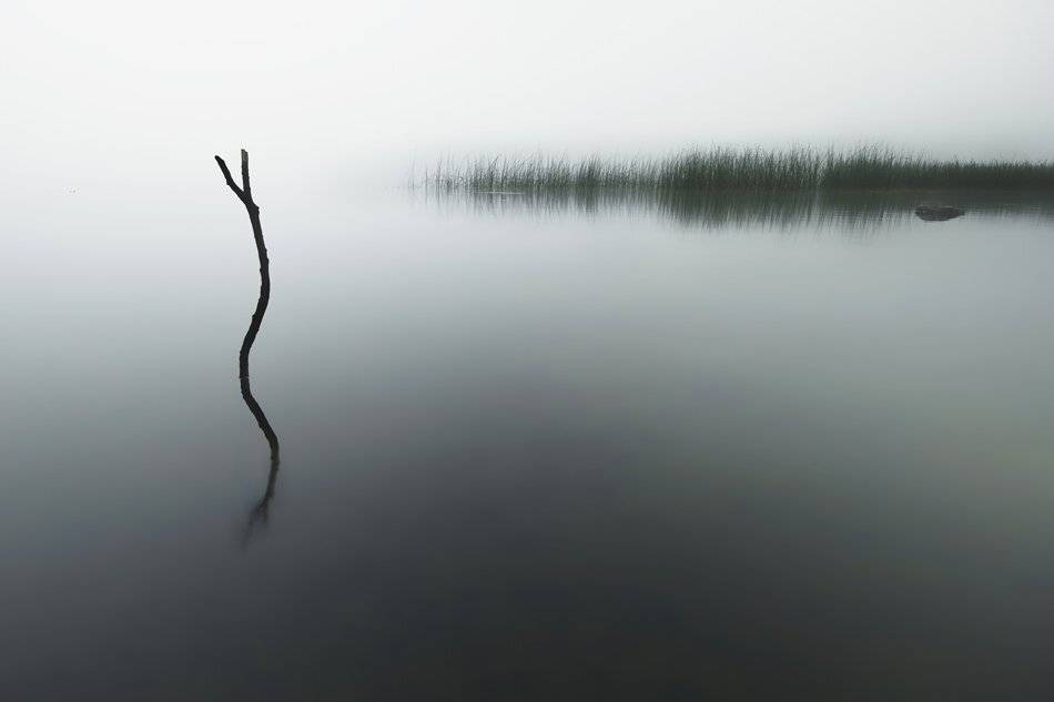 , Rimantas Bikulcius