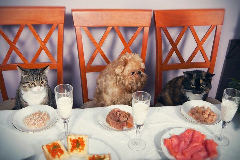 В ожидании курантов.... фото превью