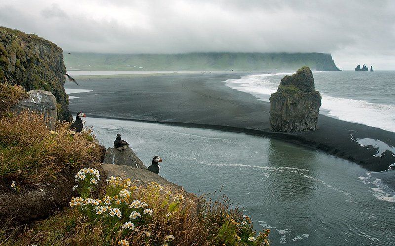 Берег океана фото превью