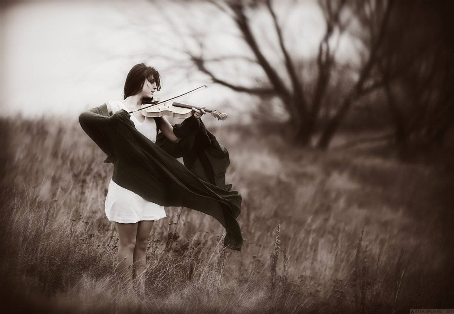 \"мелодия, ветра\", Стас Киров