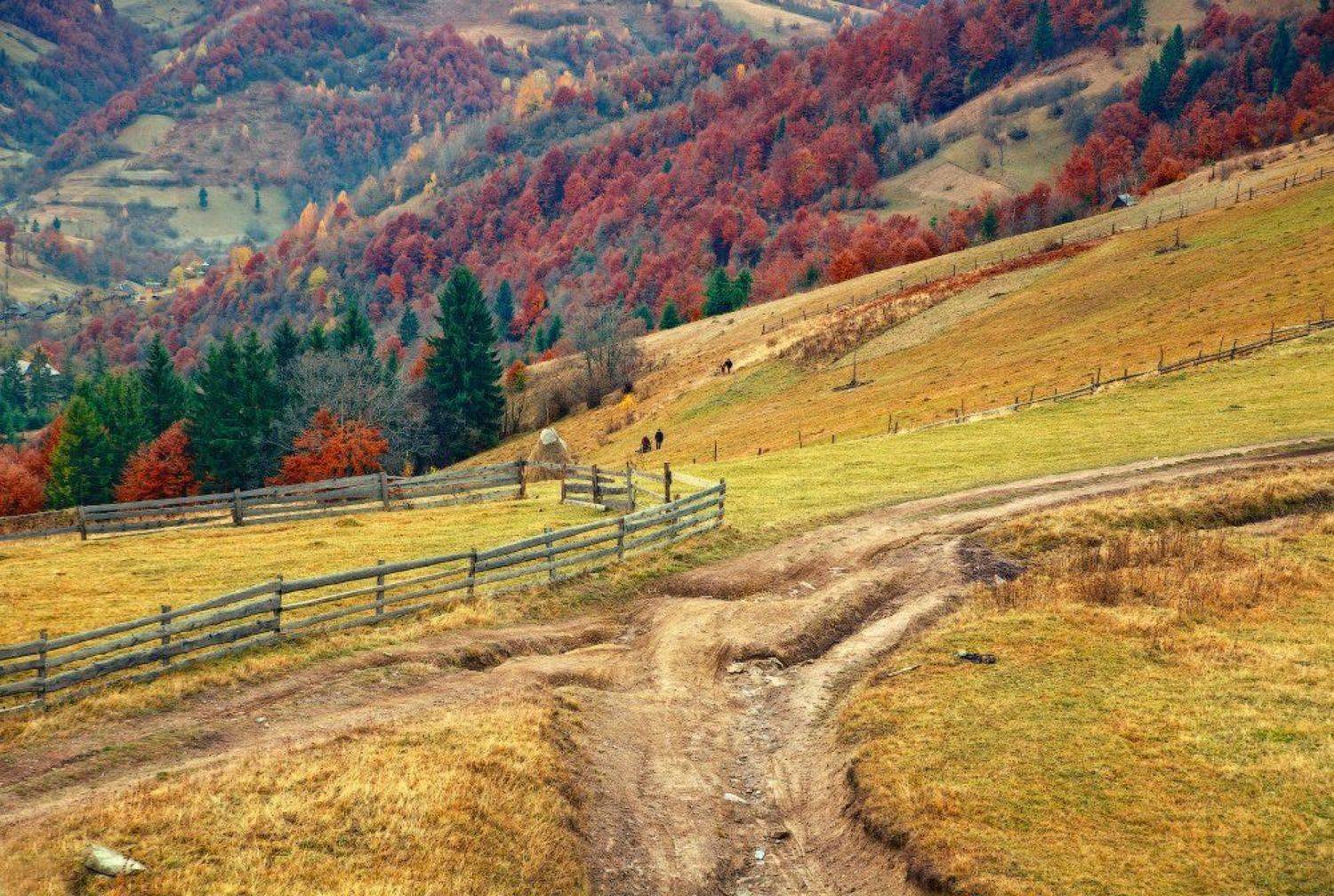 карпаты, осень, дорога, Андрей Радюк