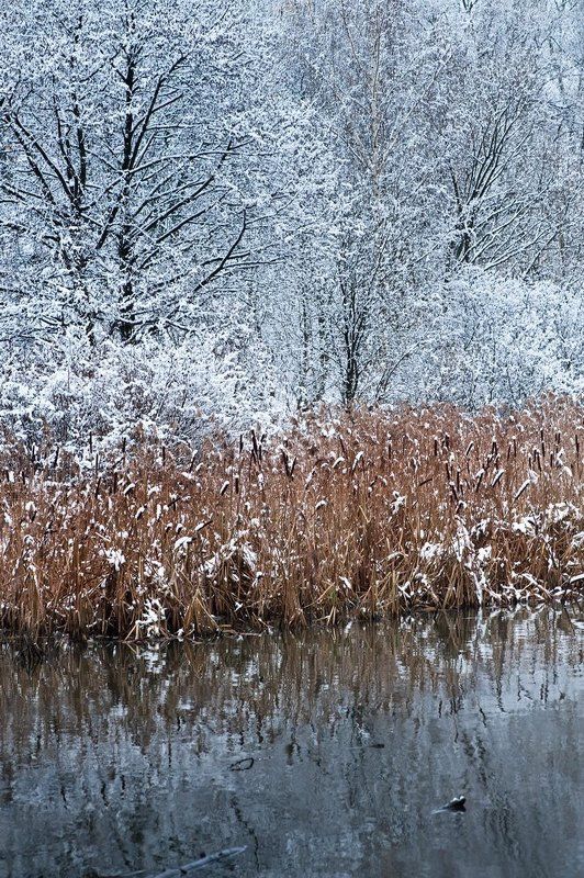 зима, яуза, снег Зима на Яузе фото превью