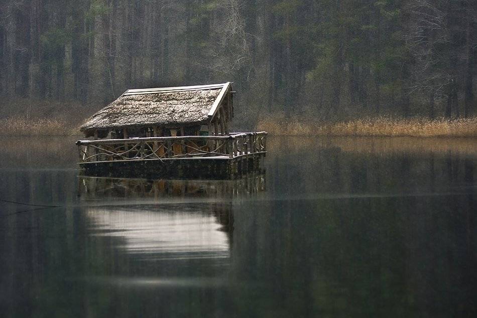 , Rimantas Bikulcius