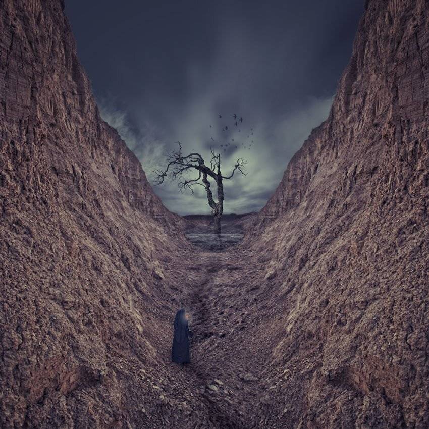 man, walk, journey, walk, light, reflection, tree, light, birds, Caras Ionut