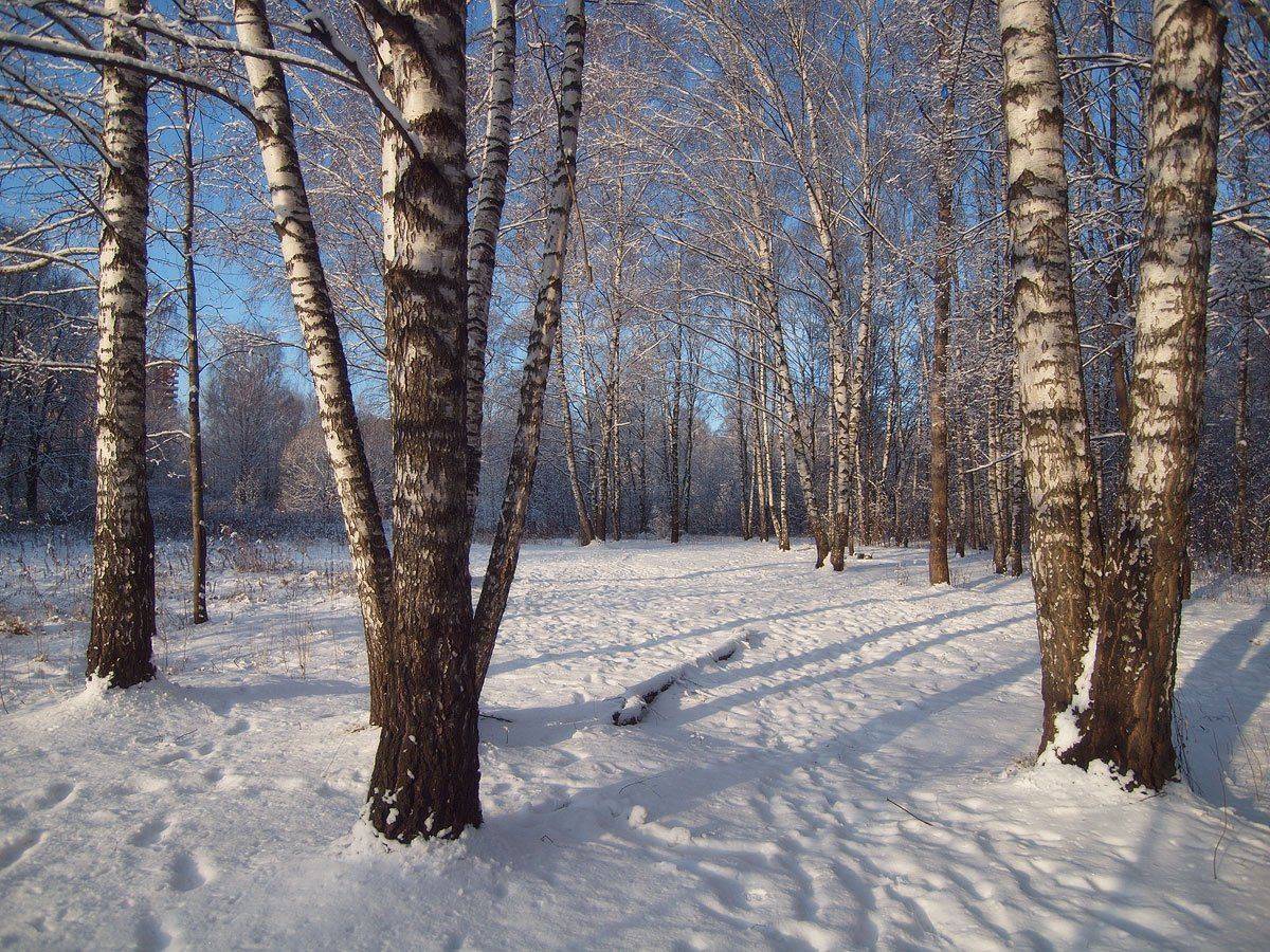 , Владимир Перепечаев