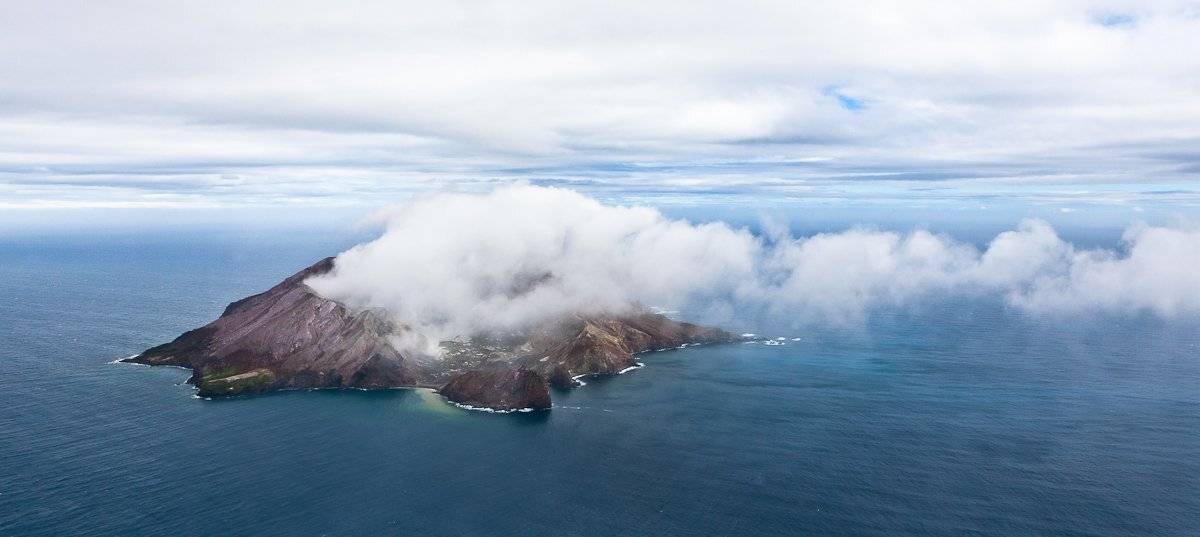 , Надежда Звягина / New Zealand
