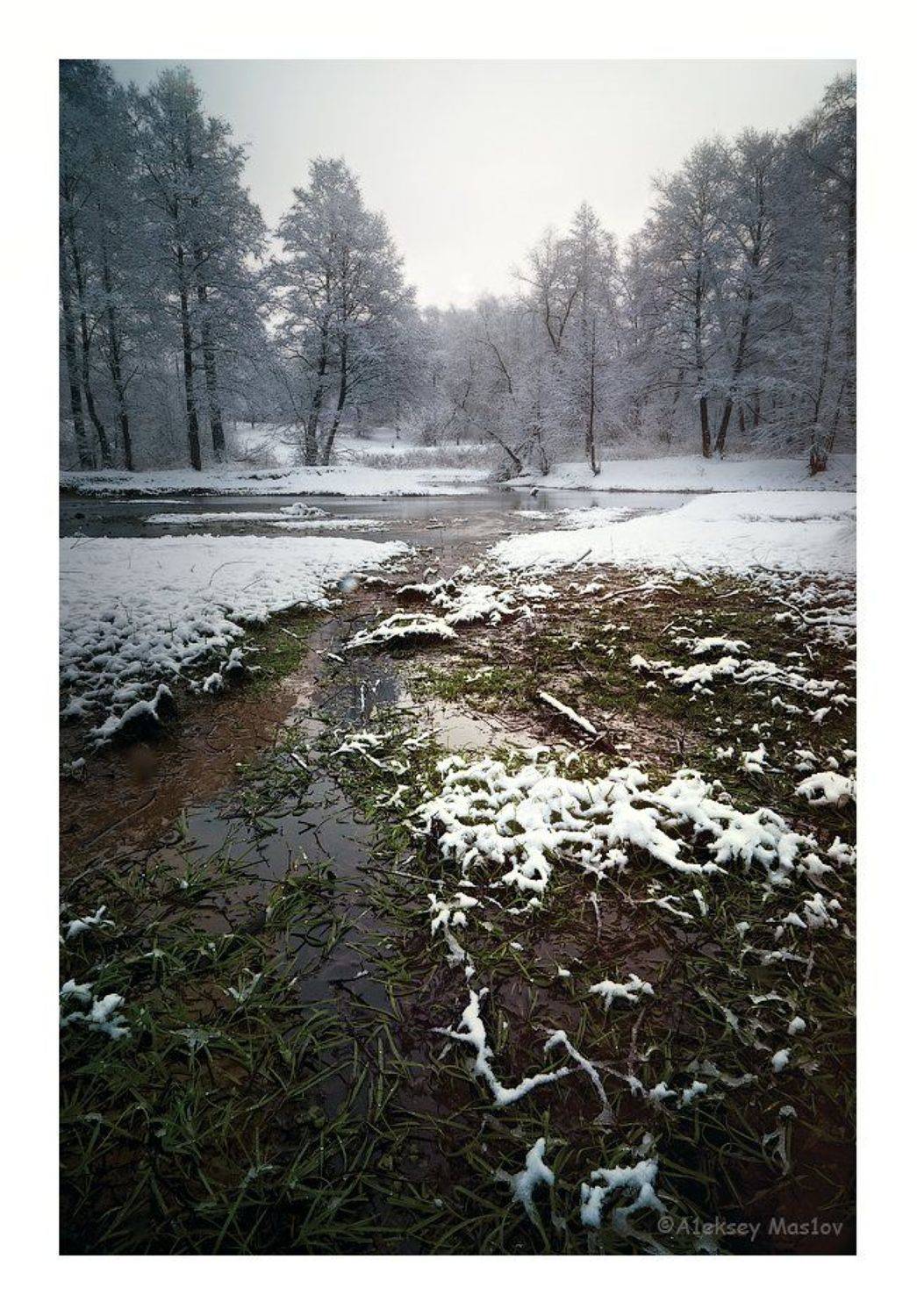 , Алексей Маслов