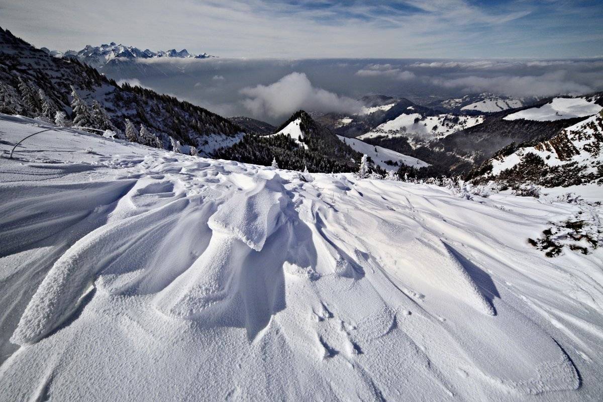 swiss, Матвеев Николай