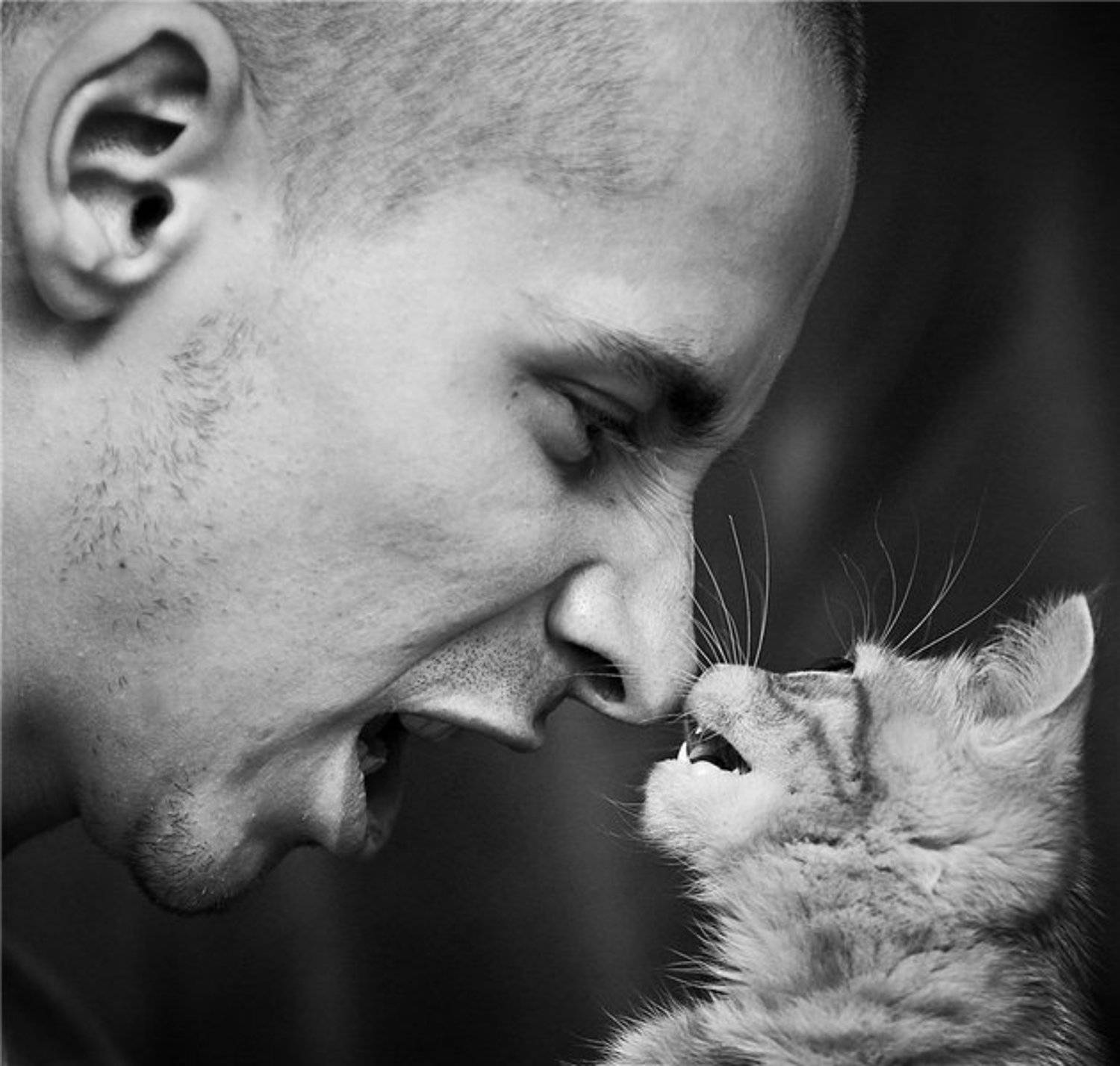 , Шаленкин Роман