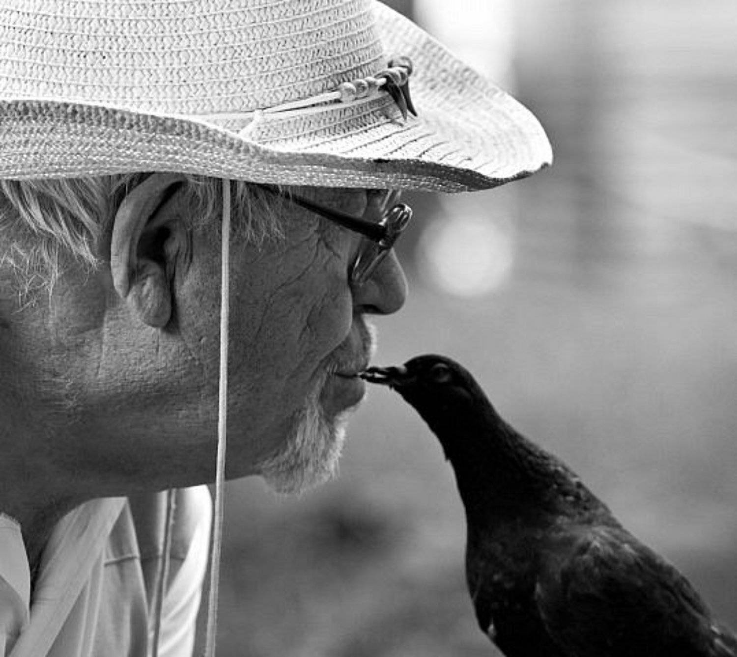 , Шаленкин Роман